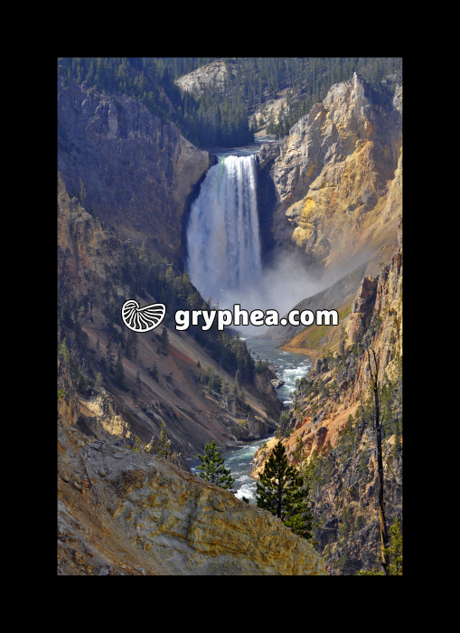 Yellowstone falls (Yellowstone NP, USA) - gryphea.com